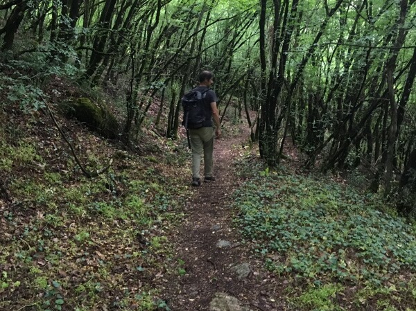 paths https://nafplio-climbing-hiking.com